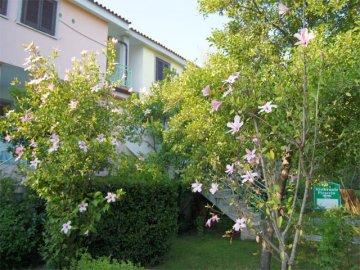 Hotel Club Gli Ontani - Orosei - Sardinie (1)